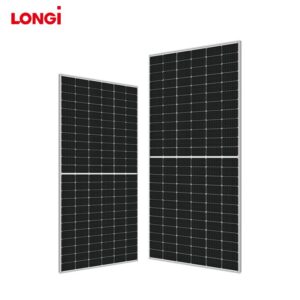 Longi N Type Bifaiclal